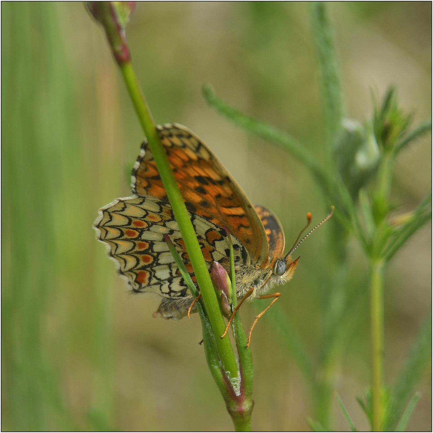 Слушает тишину.