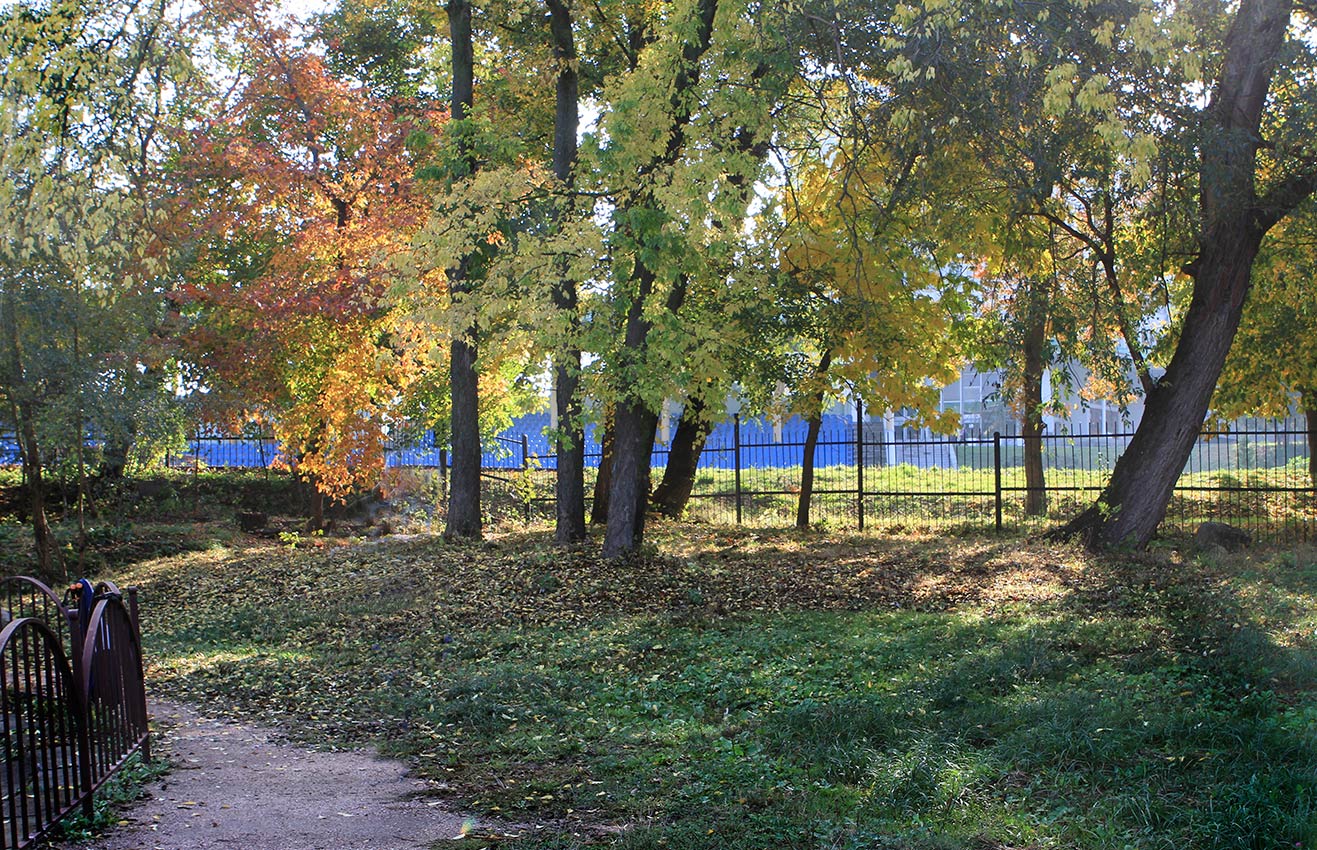 Кто рано встаёт