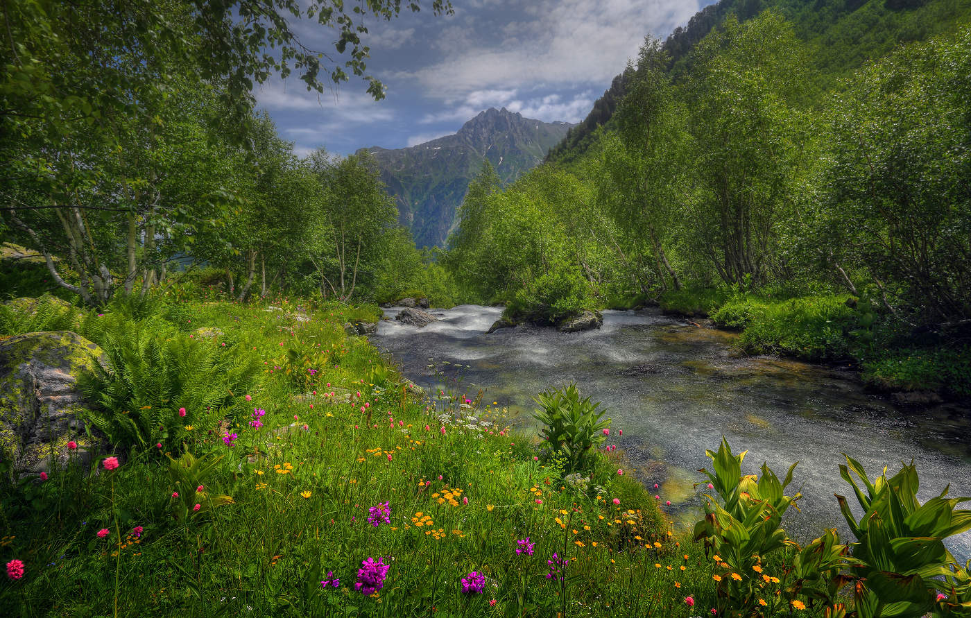 Кавказское лето