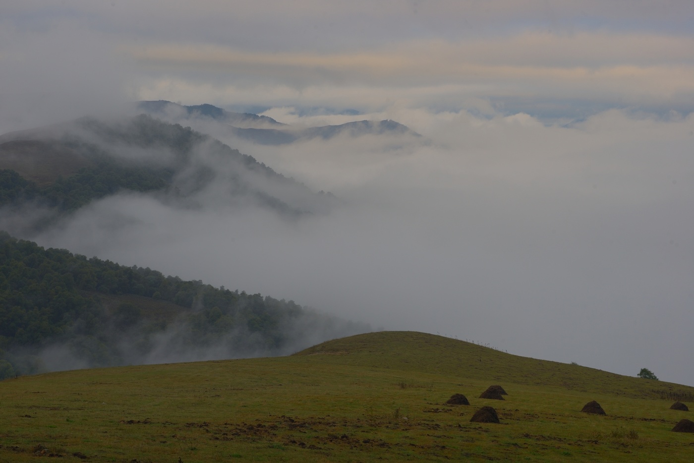 Утро после дождя