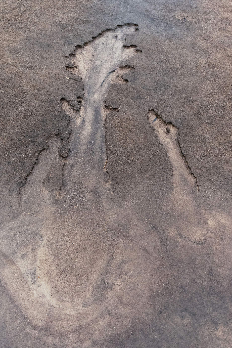 Жизнь вокруг