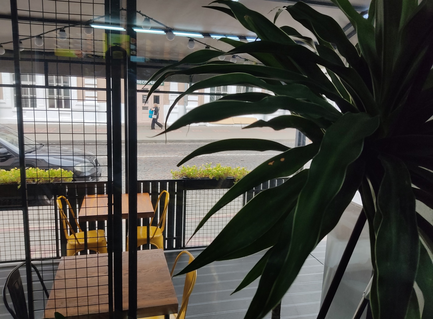 Жизнь насекомых