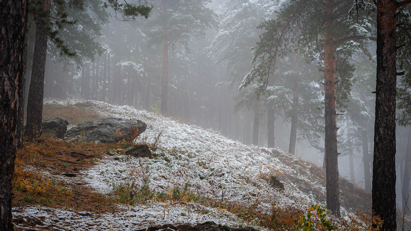 Свершилось первое зимнее чудо — выпал первый снег.