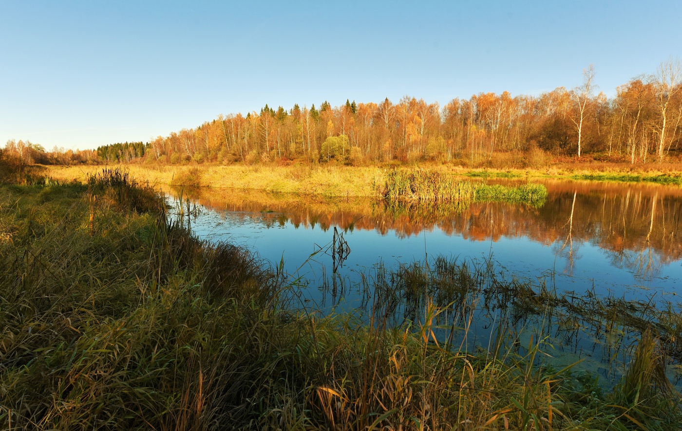 Тишина и покой у осенней реки ...