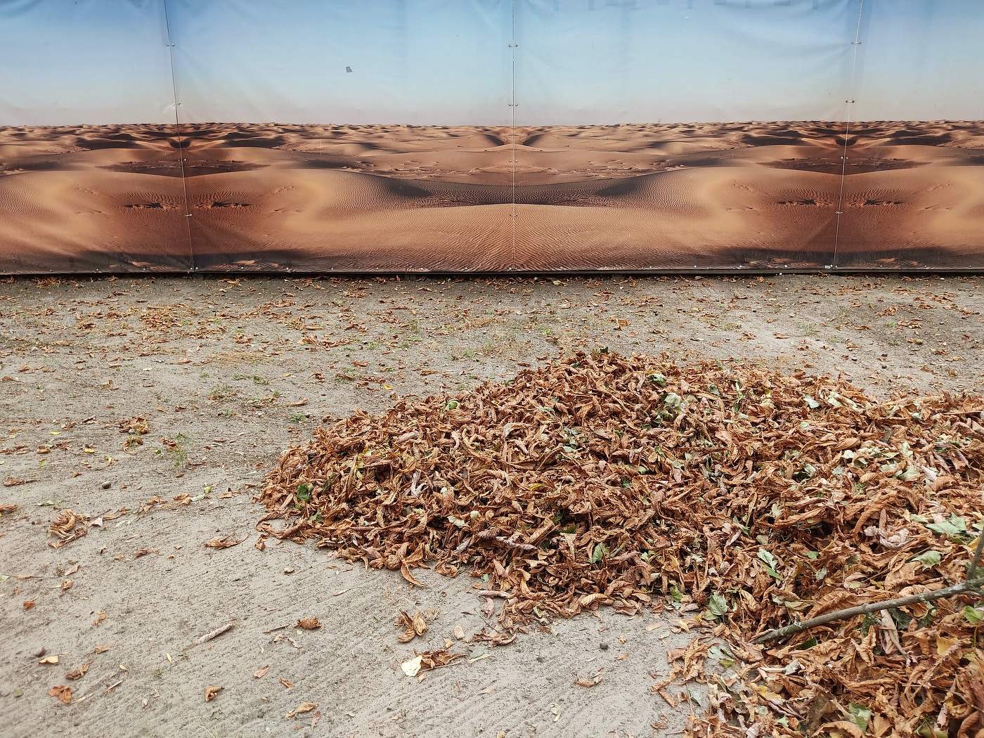 Пески пустынь