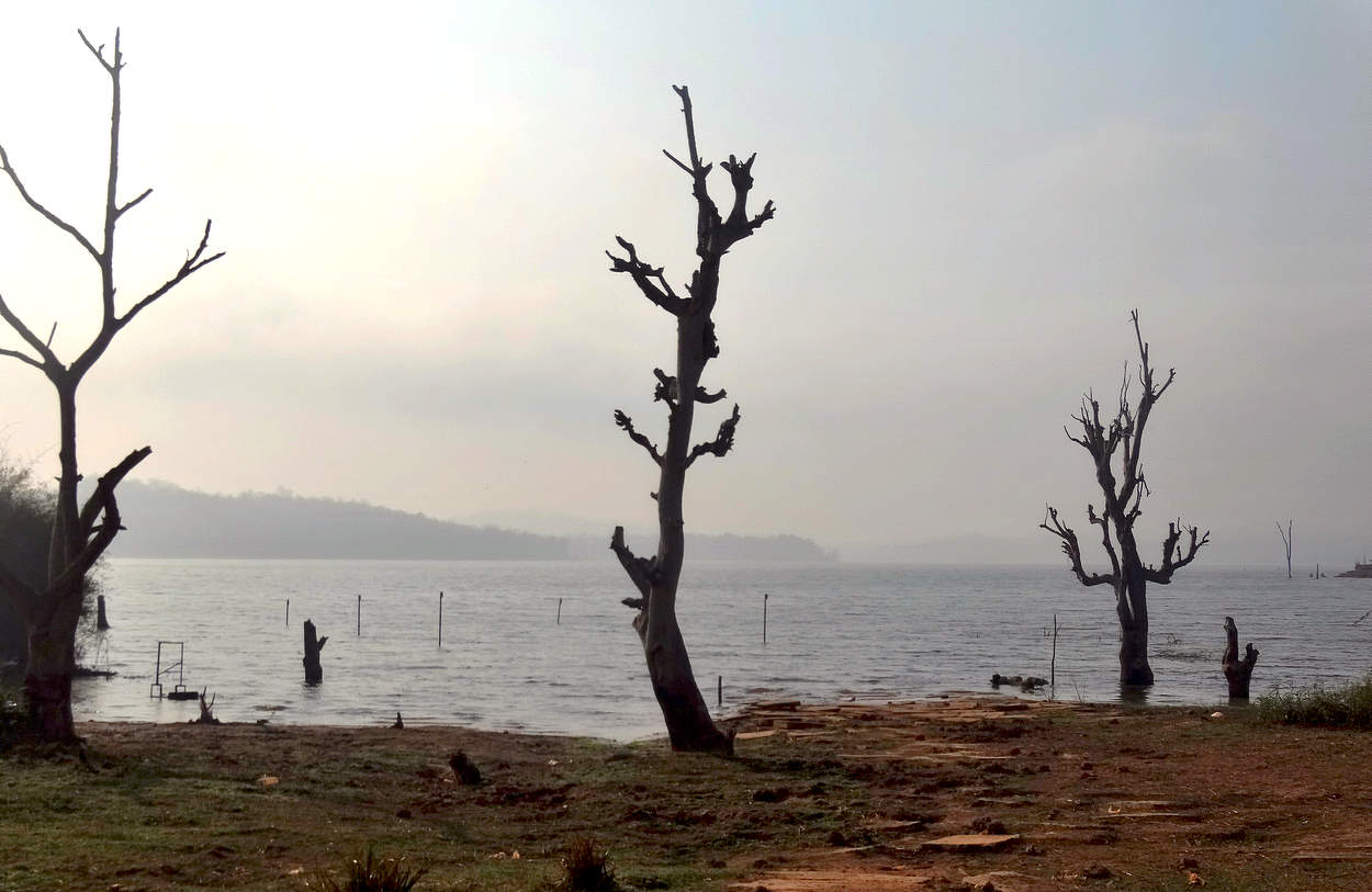 Всё что осталось