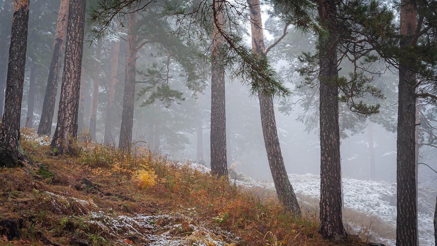 С наступлением осени мы ощущаем приближение предзимья.