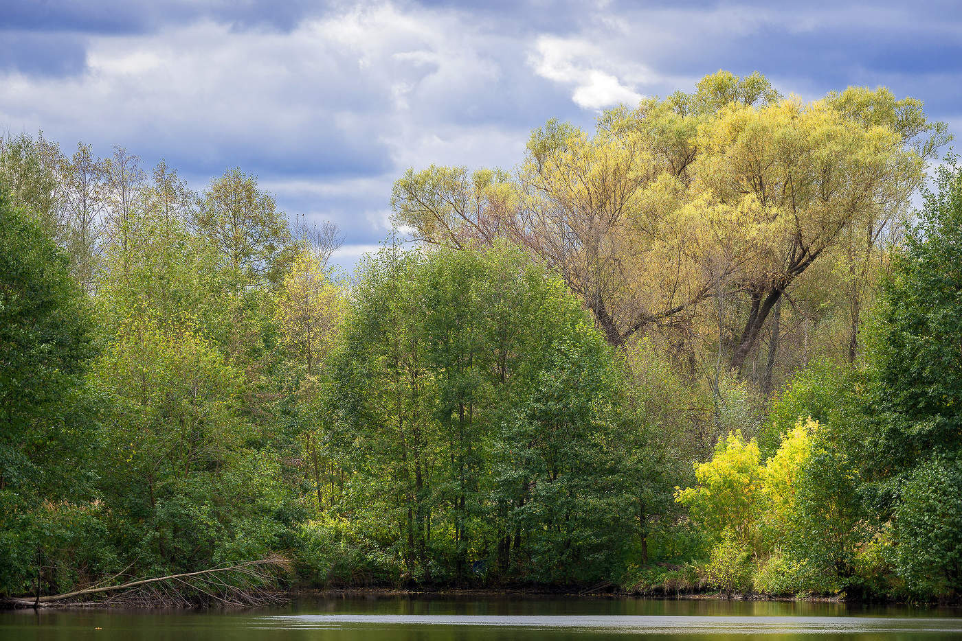 Осени начало...