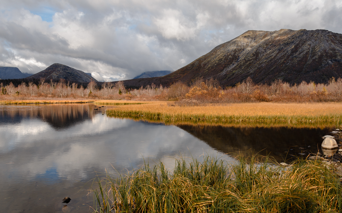затянутое небо облаками