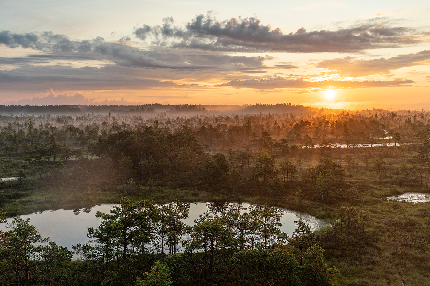 Болотная страна
