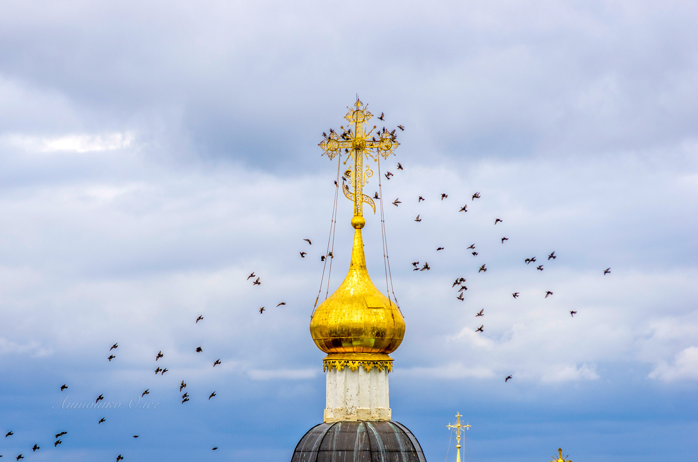 Владимир осенний.