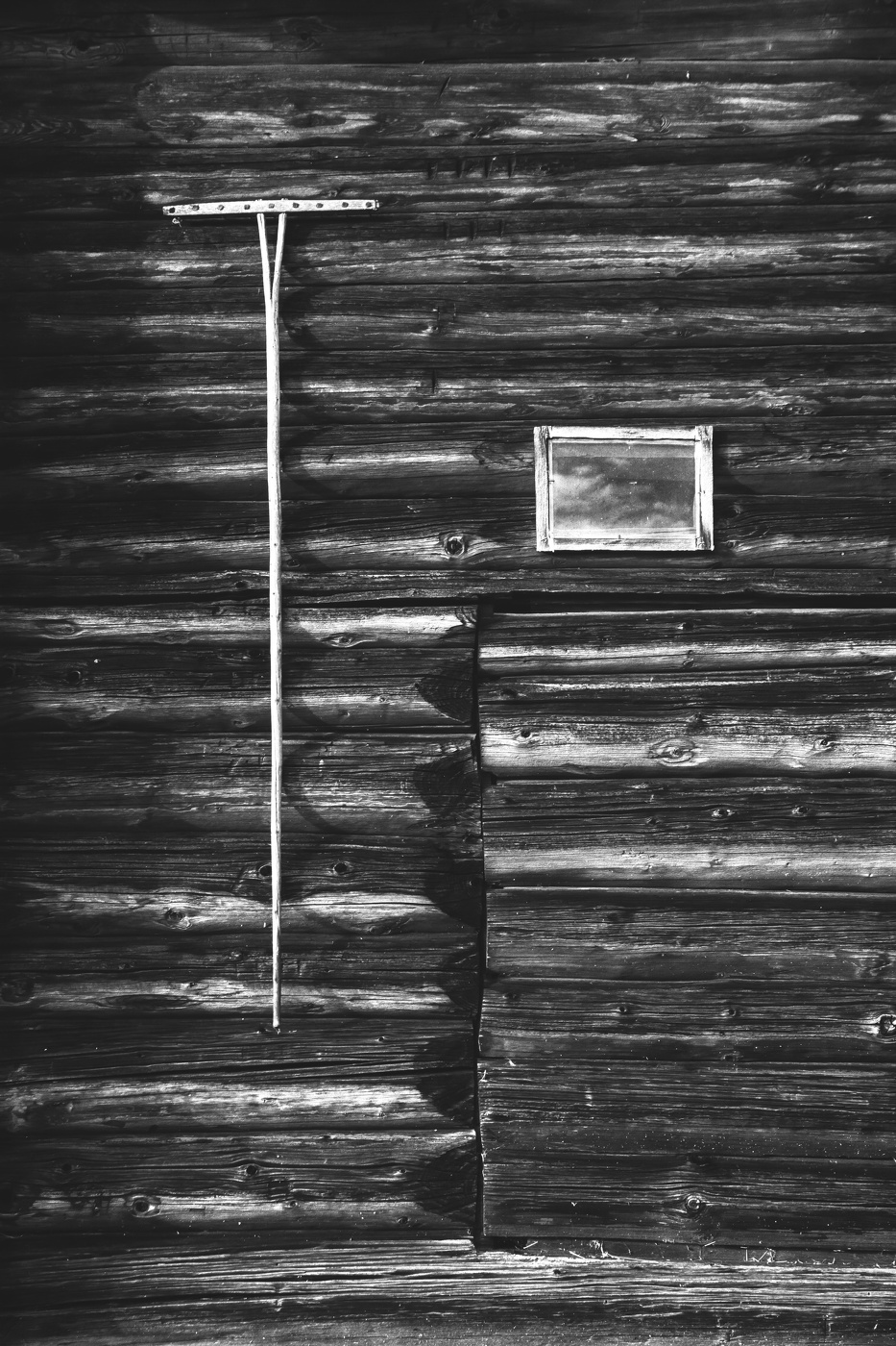 Жизнь вокруг