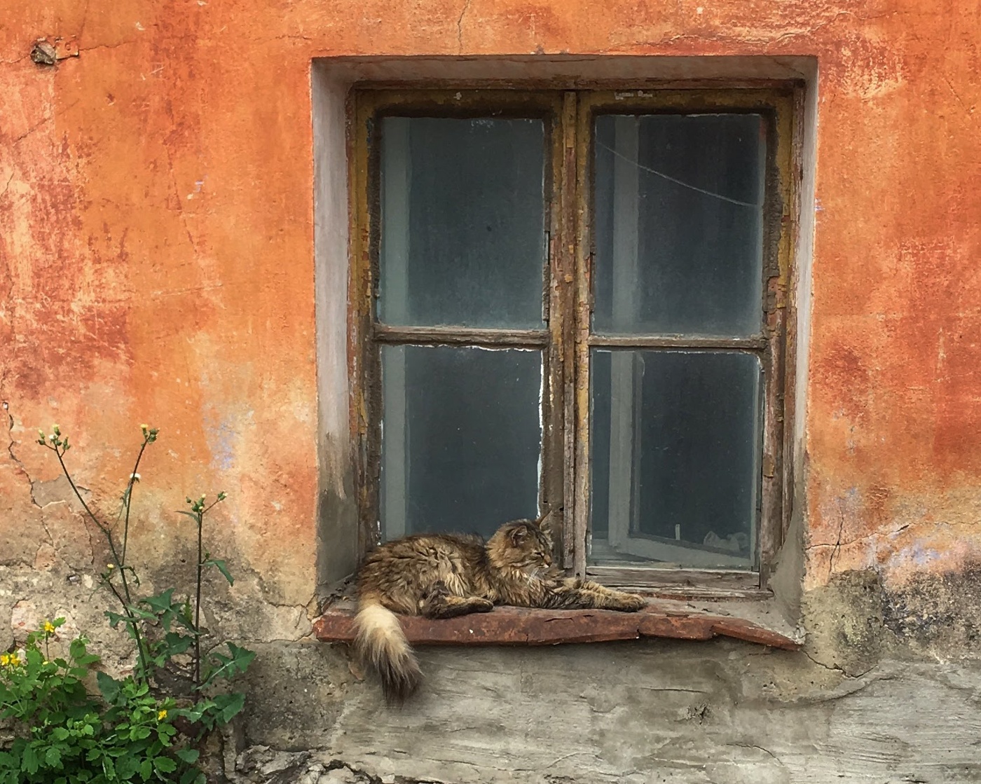 На солнышке