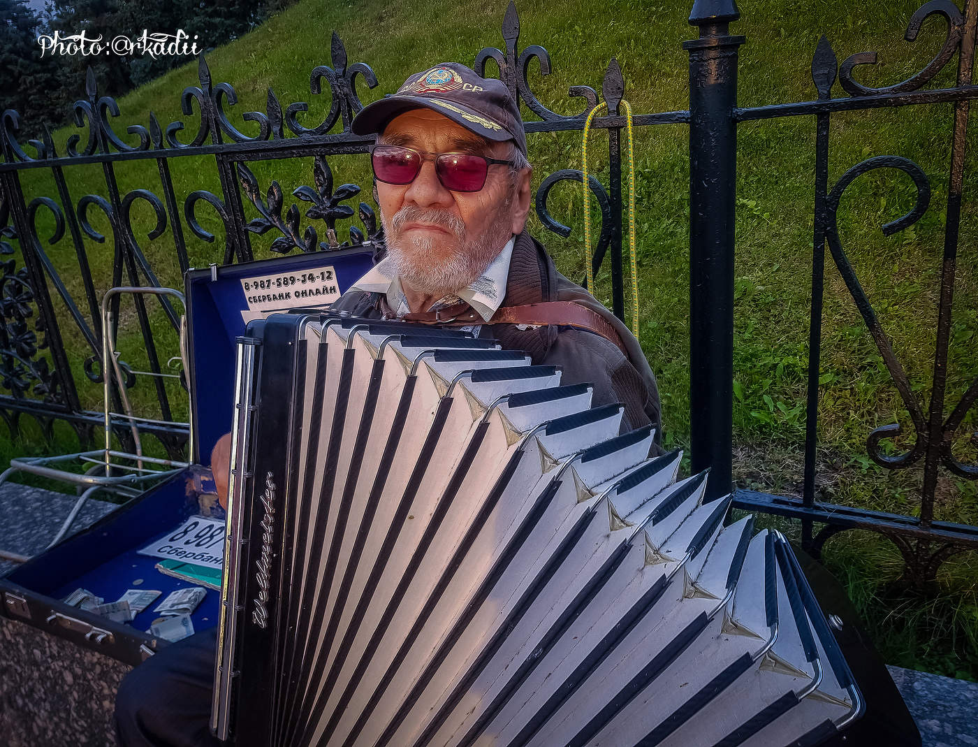 Играй гармонь!