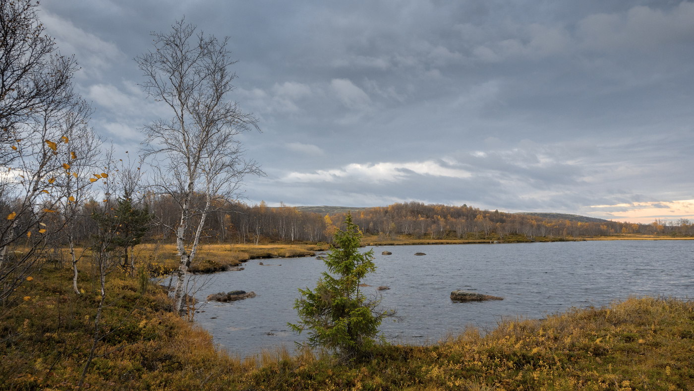 На Мурманских сопках