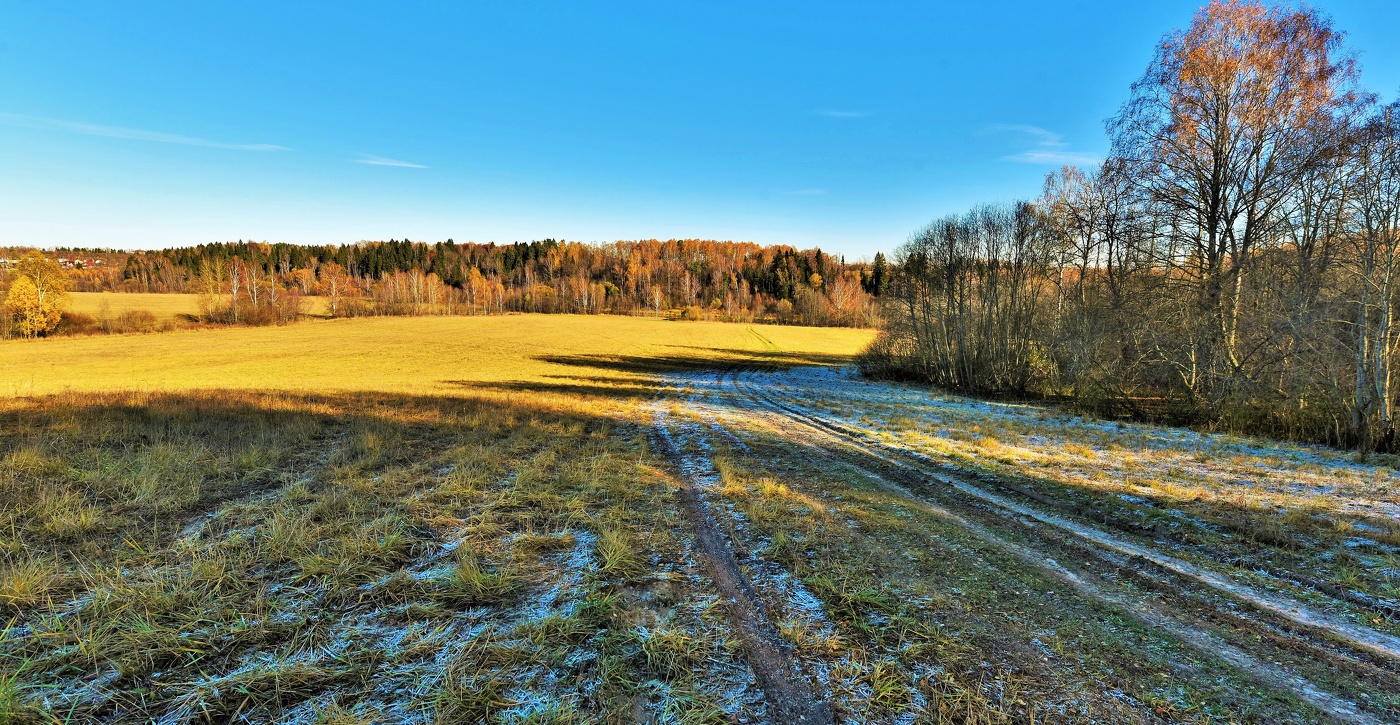 Осеннее утро ...