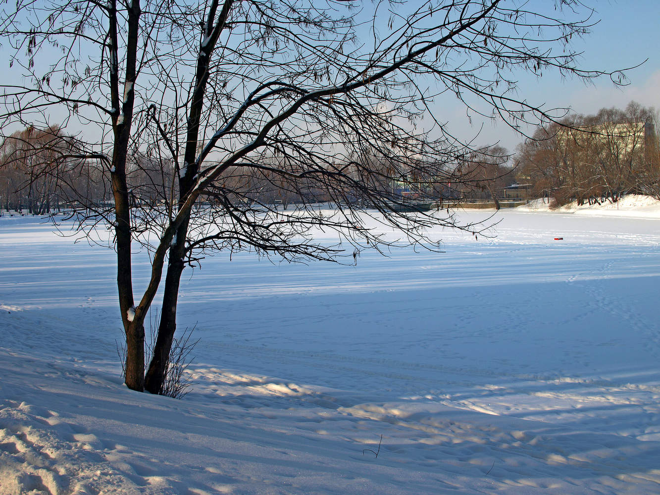 Пруд в феврале