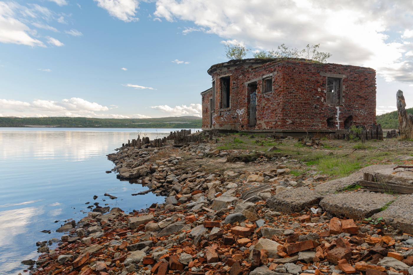 и на крышах растут деревья