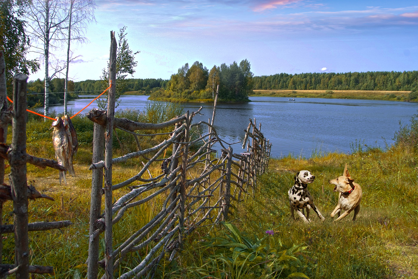 Я первый её увидел.