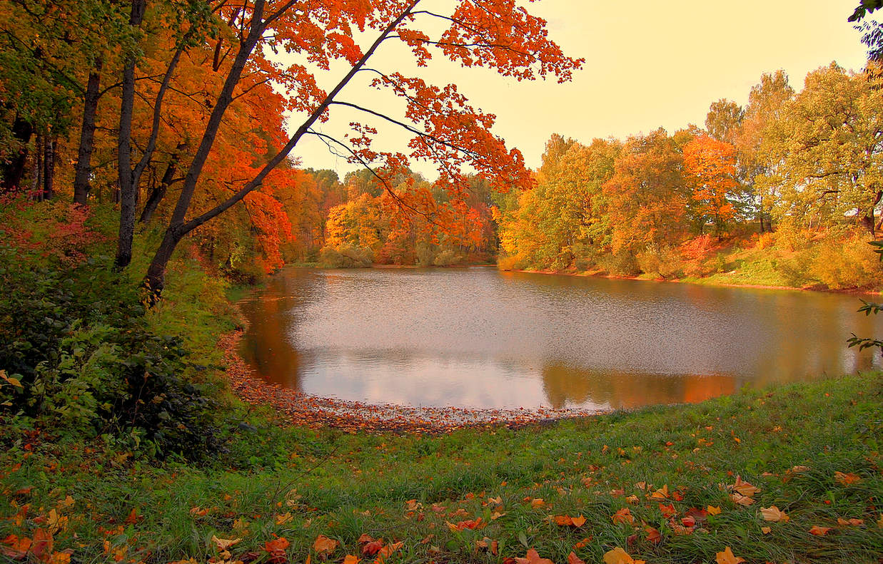 Палитра осени