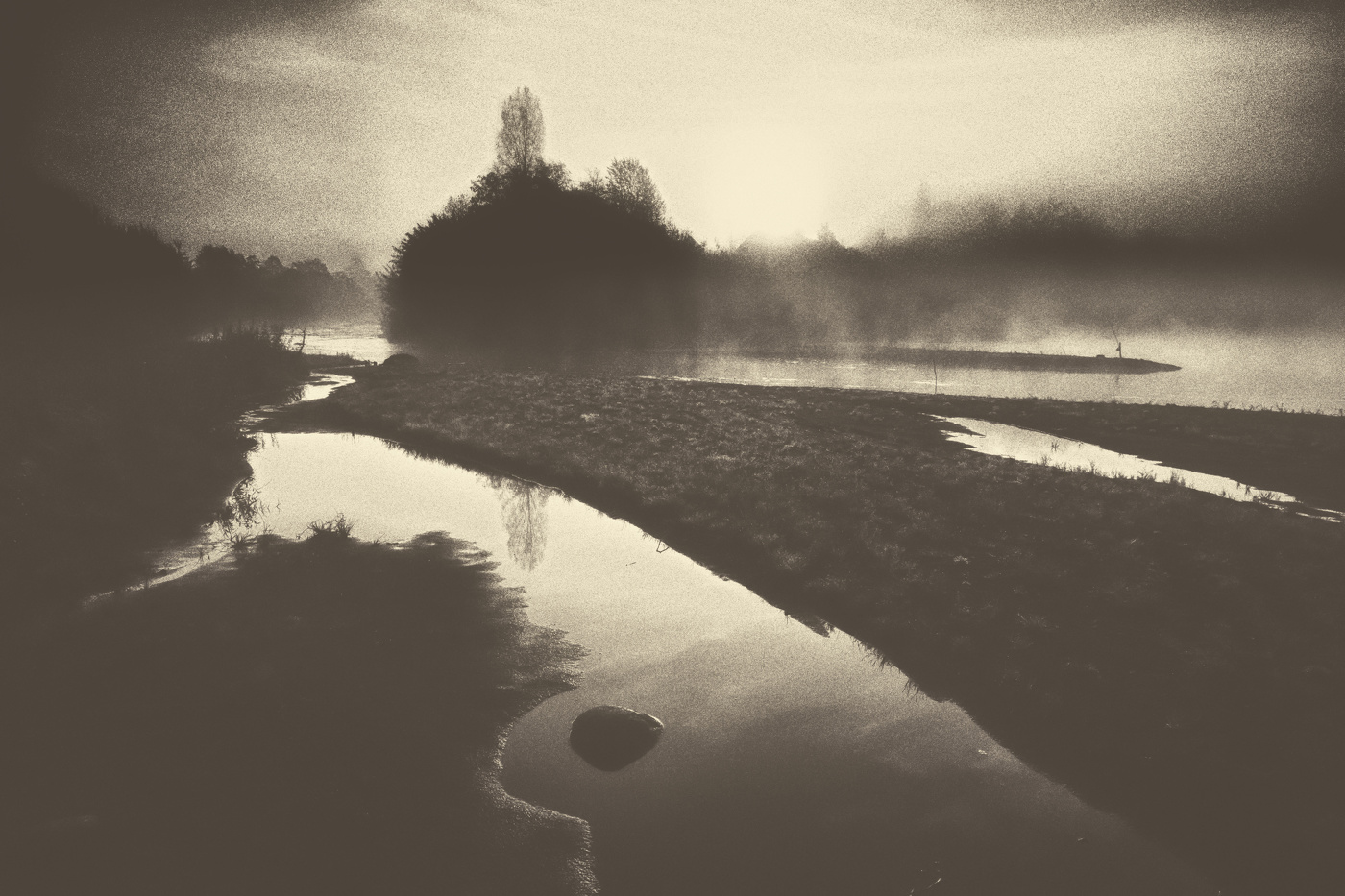 Жизнь вокруг