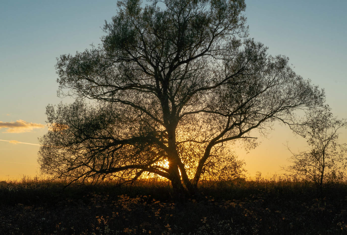 Осенний закат