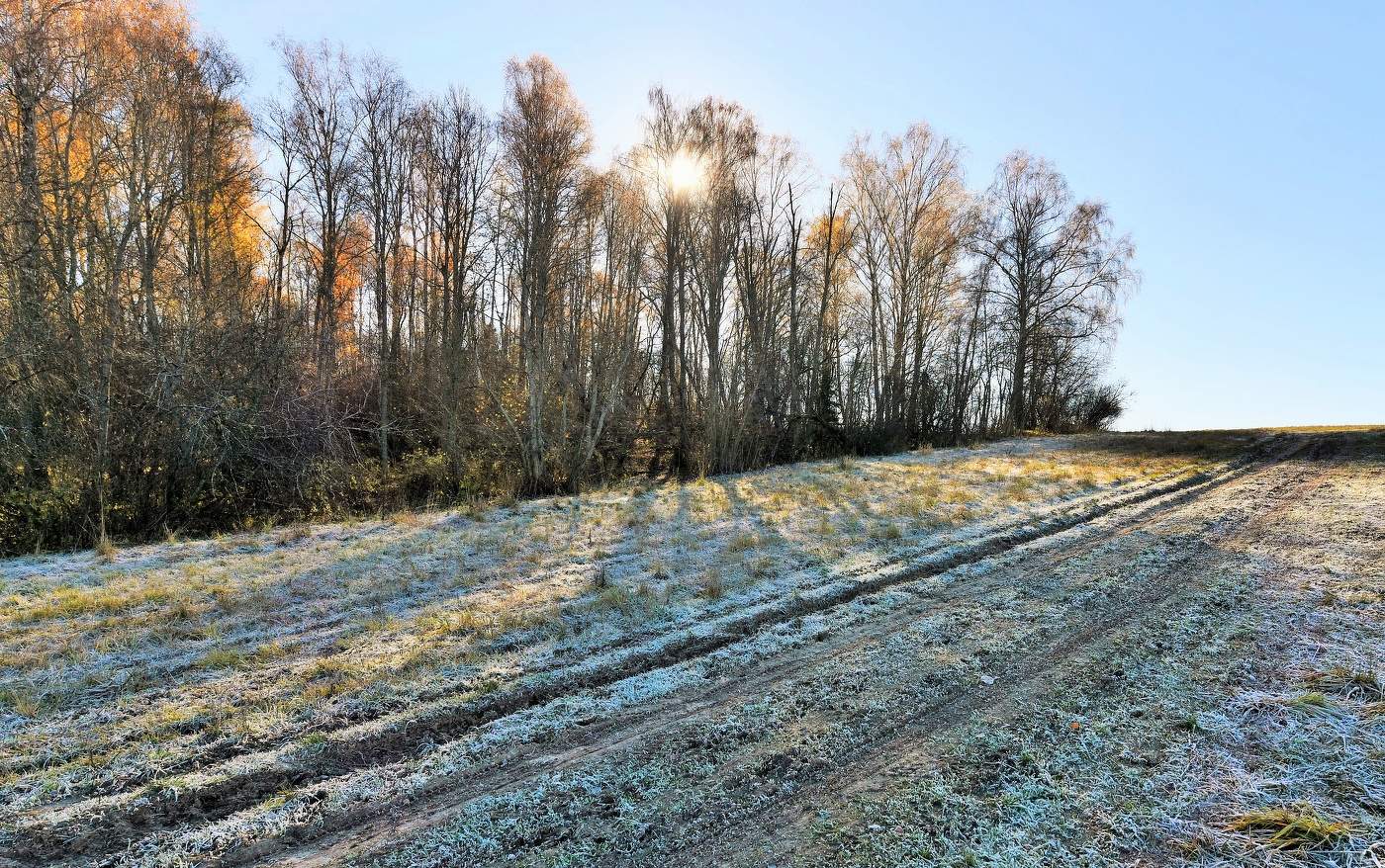 "А утро было зябким, как щекотка ..."