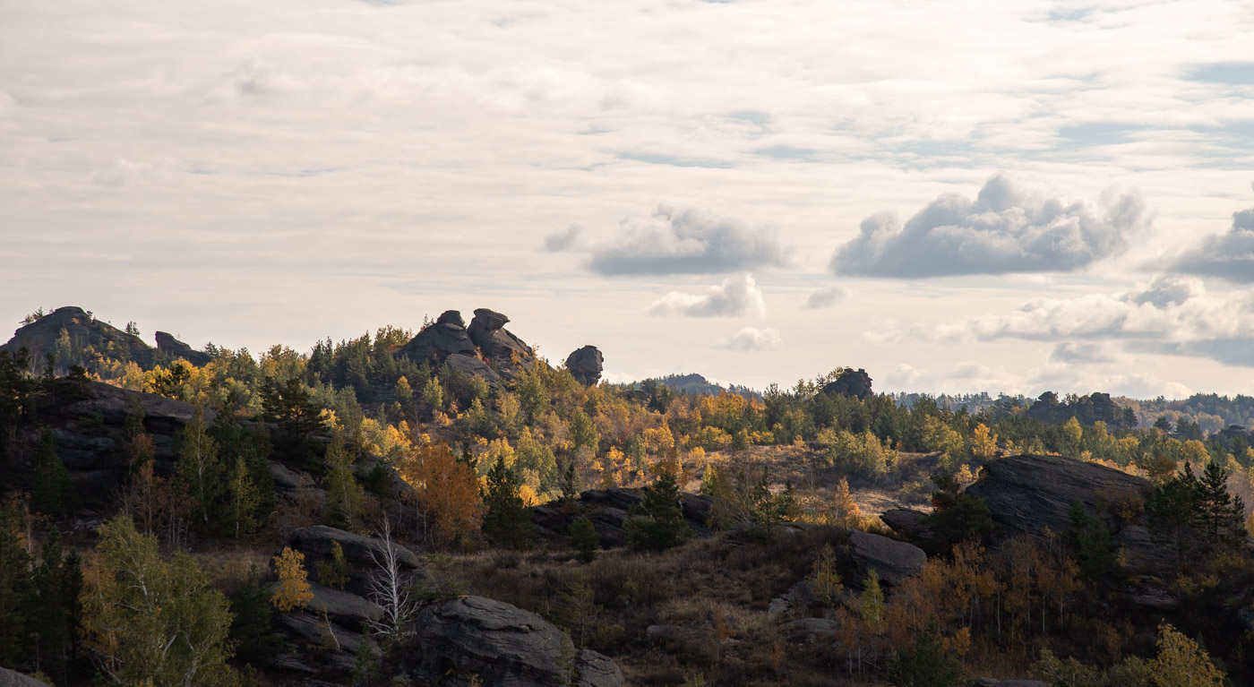 Сад камней по-алтайски