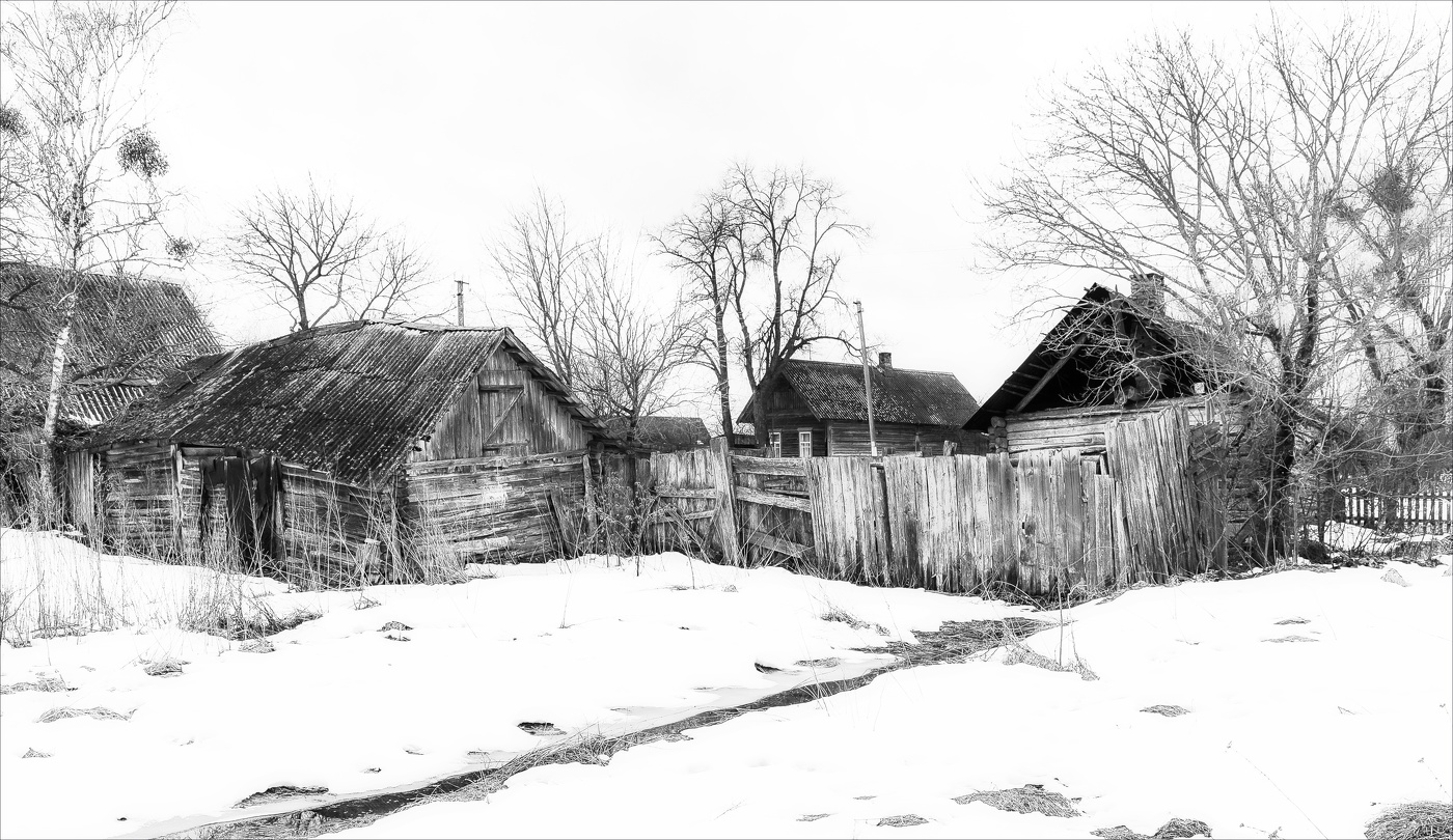 ЧЕРНЫЕ ПРОТАЛИНЫ