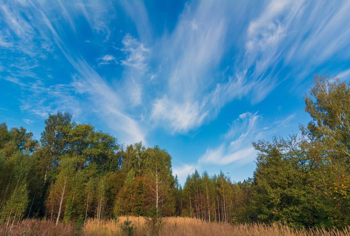 сентябрьское небо и лес