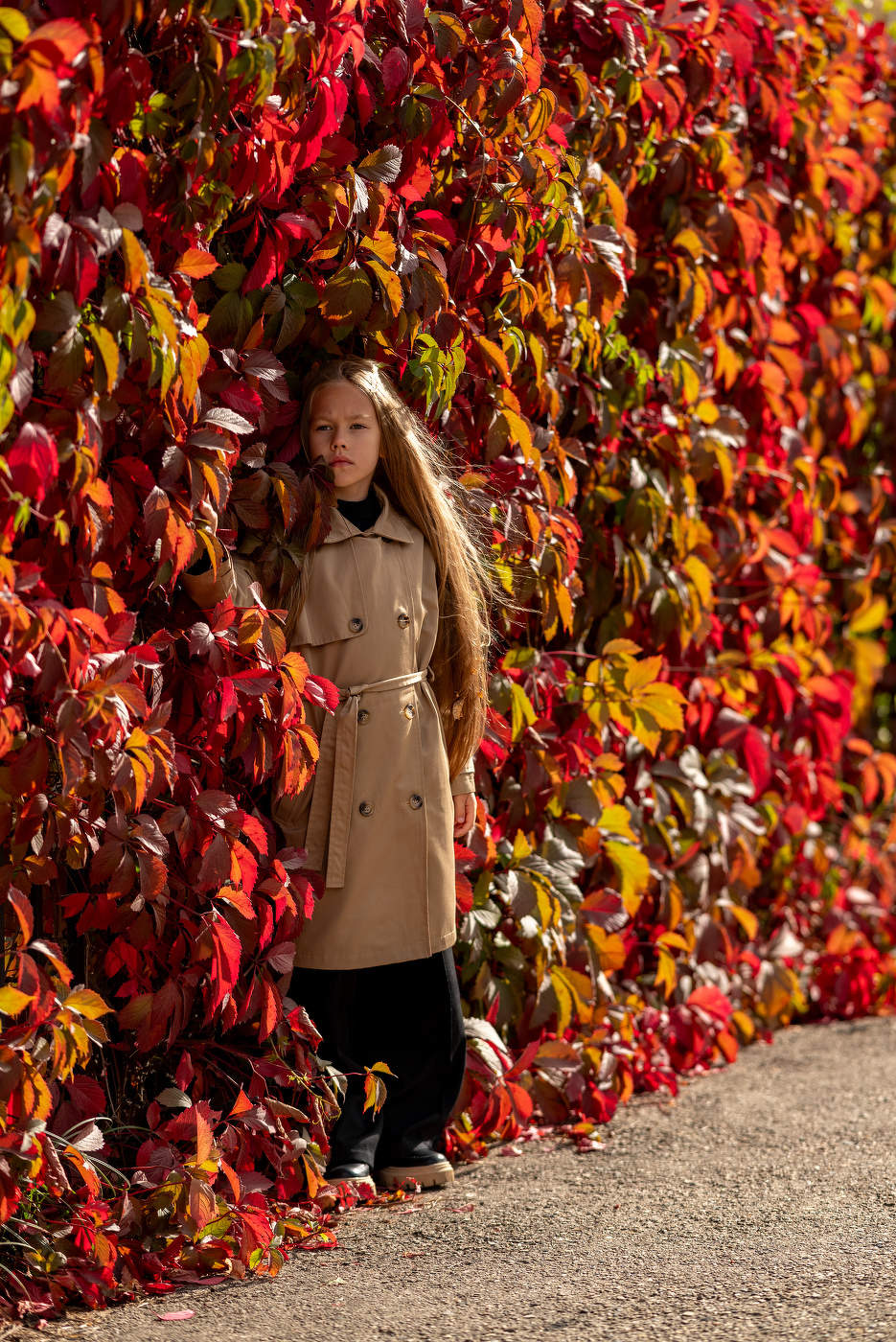 Красно-зелёная стена