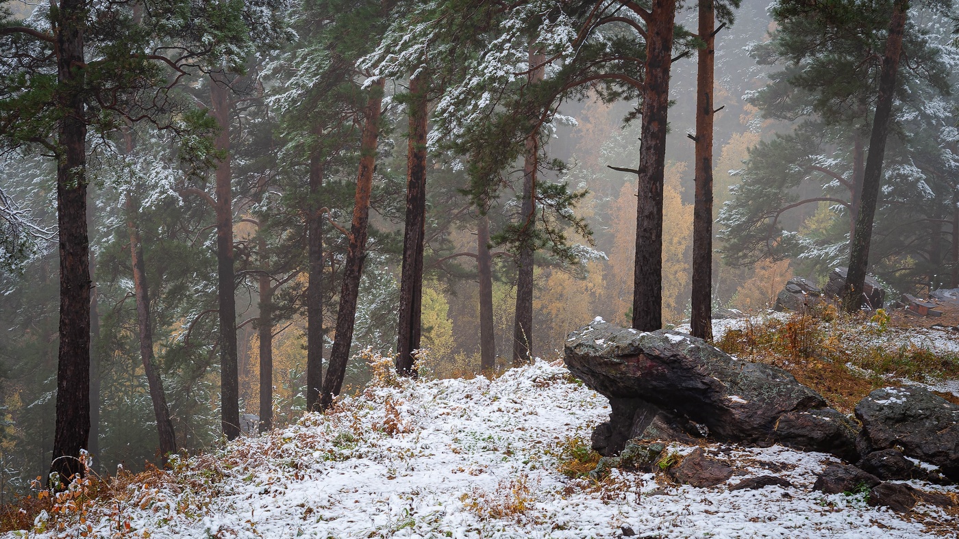 Ранний снег.