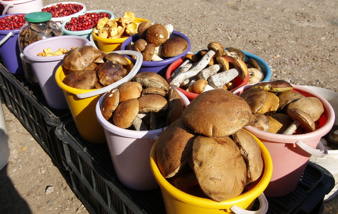 Грибочки на продажу.