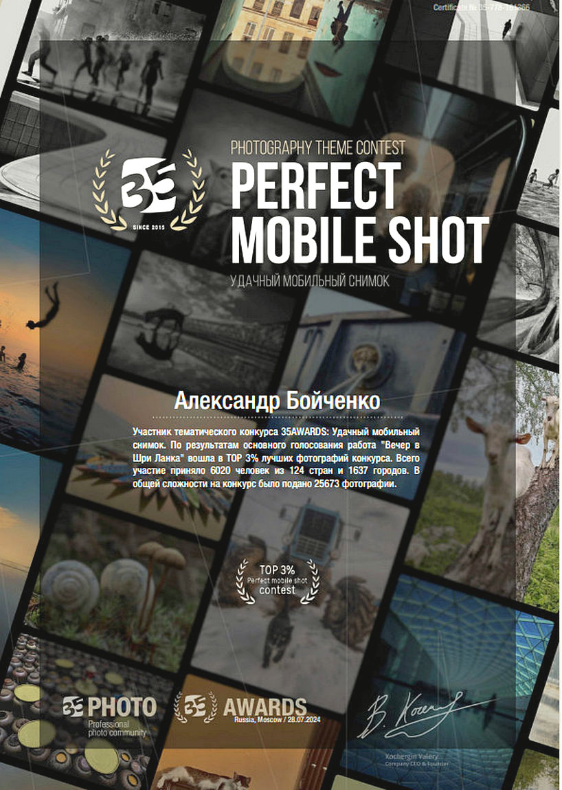 Диплом за удачный мобильный снимок