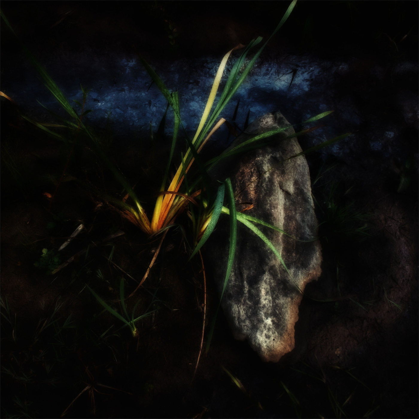 Жизнь вокруг