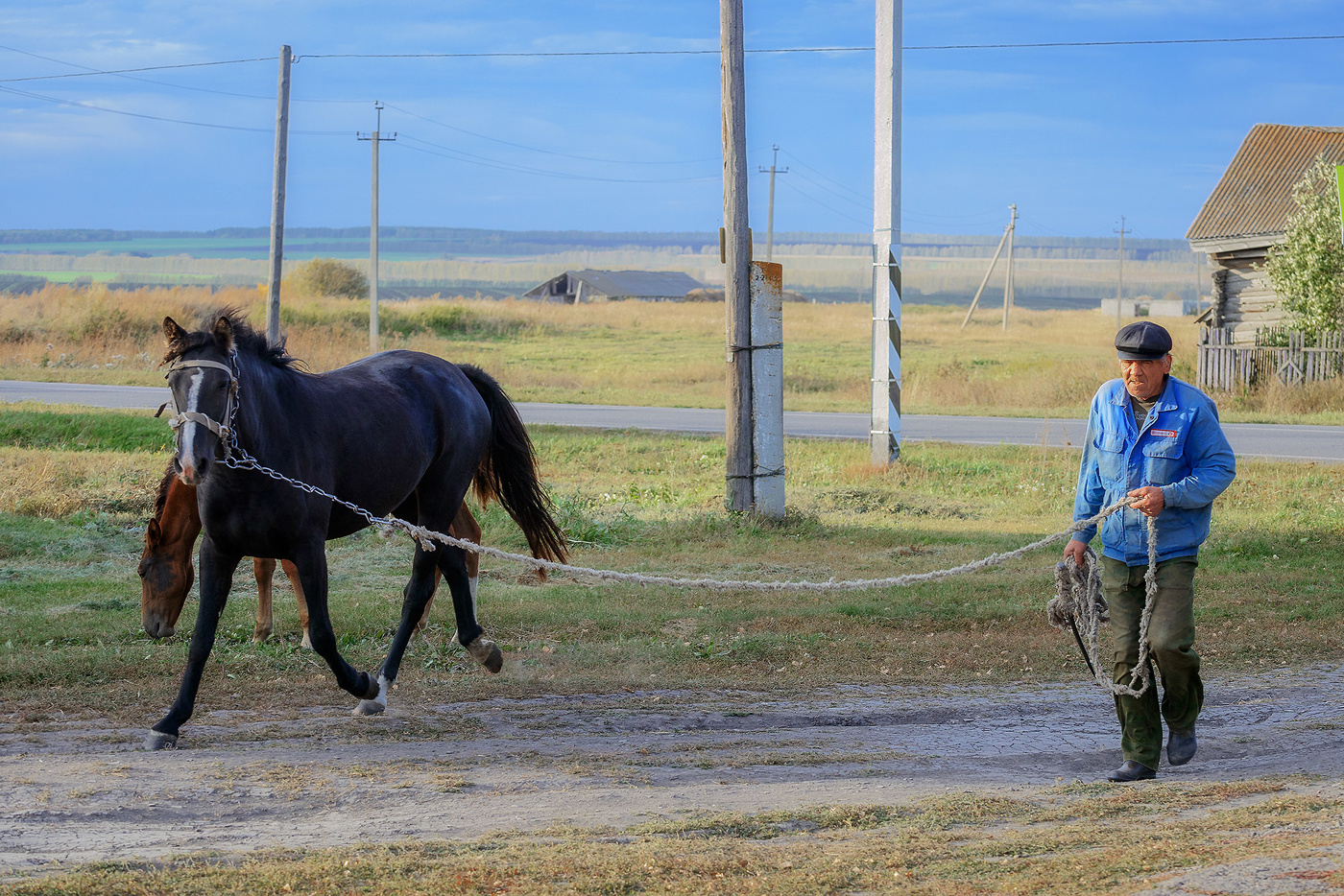 Сельские будни...