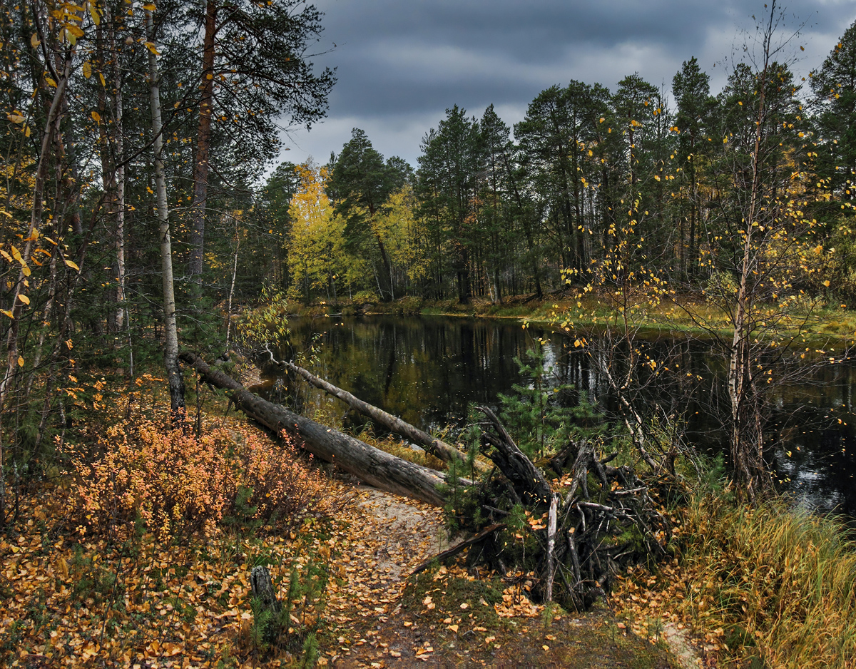 Тёплым дням уж нет возврата...