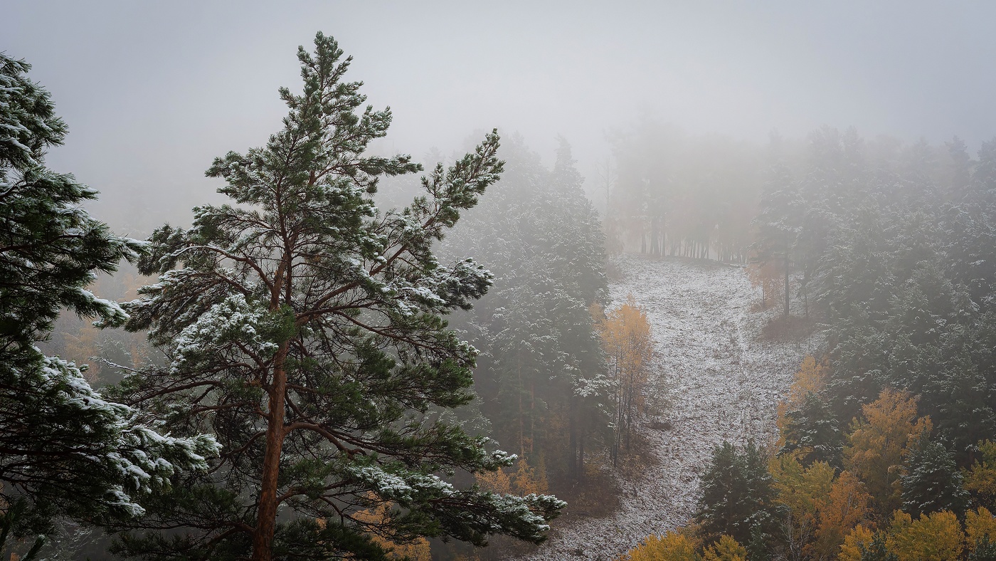 Когда Осень встречается с Зимой...