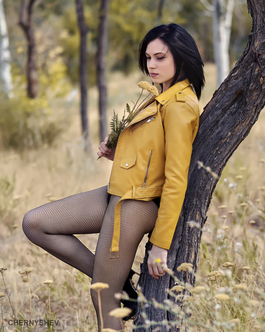 из альбома "логика листьев".