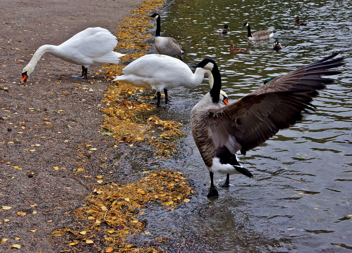 Утром, перед отлётом