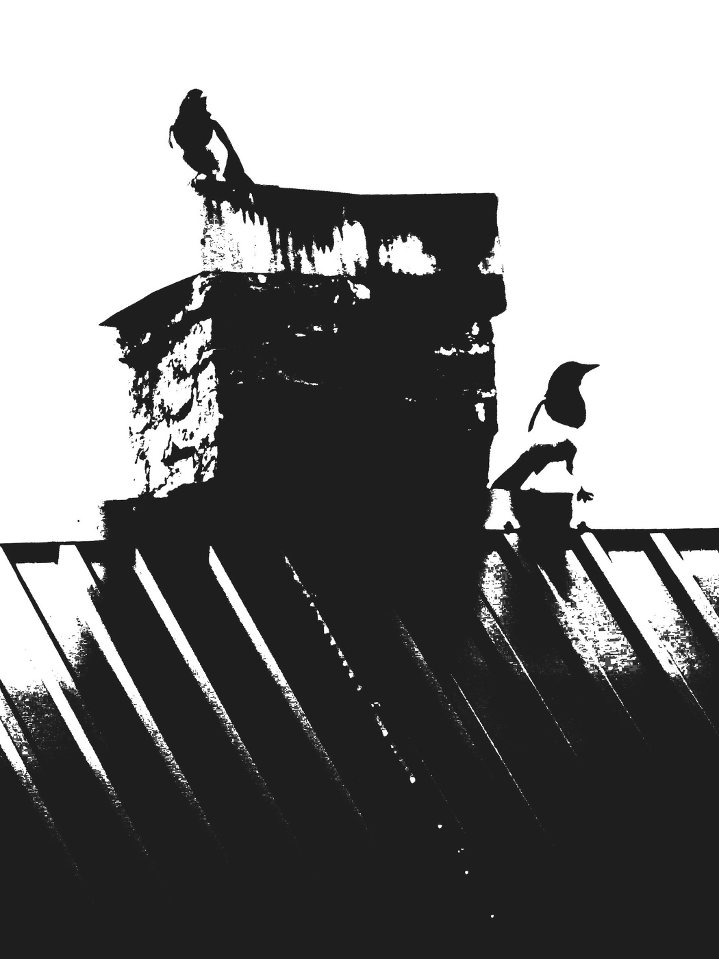 Жизнь вокруг