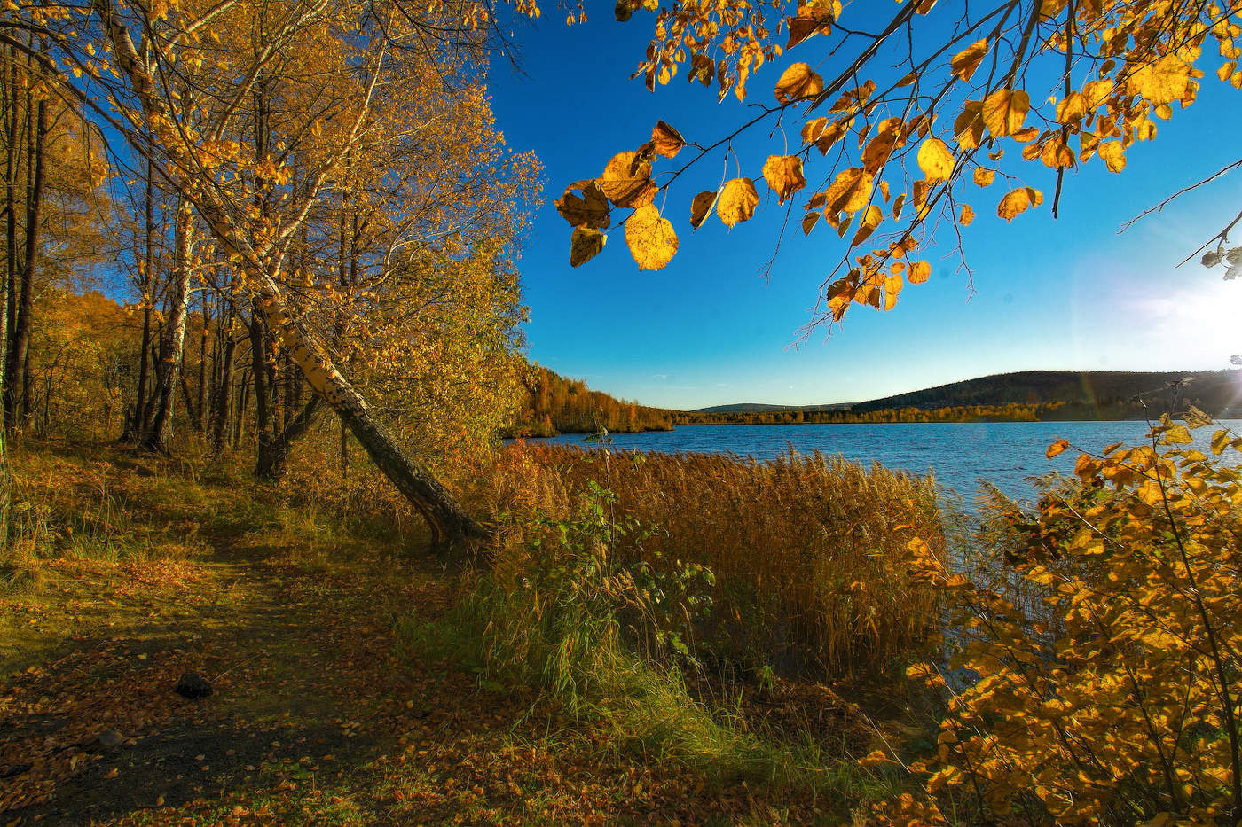 Осень в шубу жёлтую одета