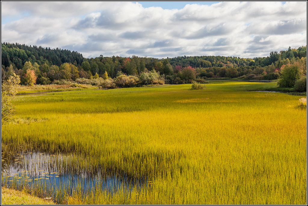 Золотая пора, золотая.