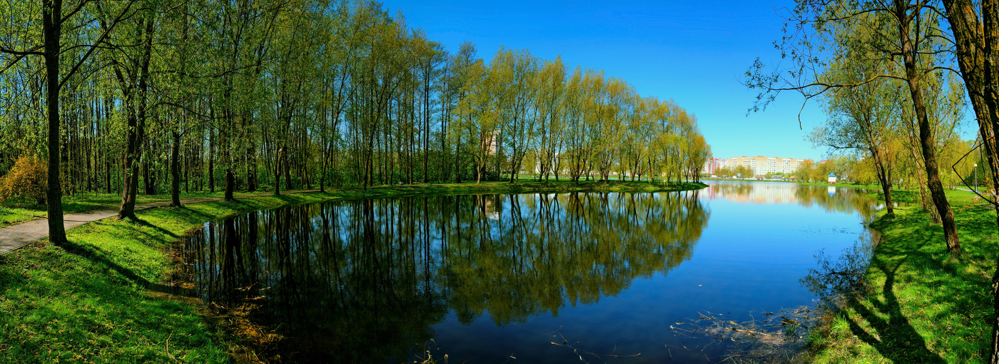 Парк на пруду.