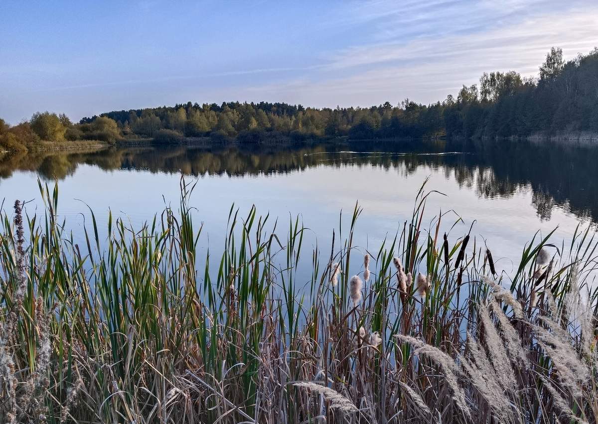 Вечерний пруд.