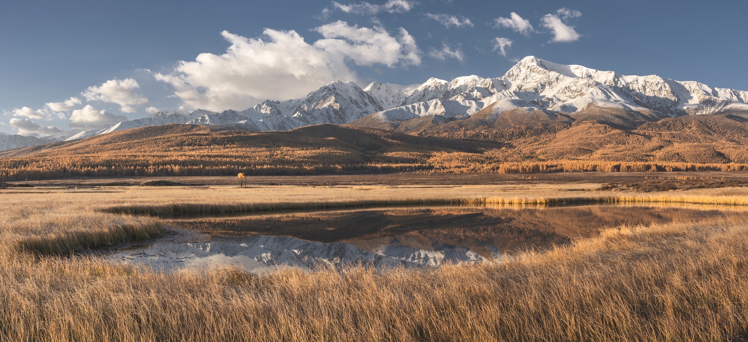Утренний свет