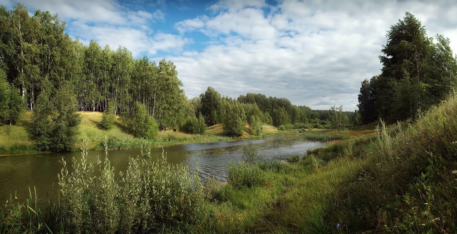 Прокукуй мне кукушка....