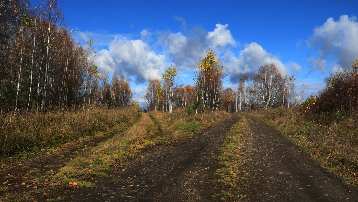 Осенний развод