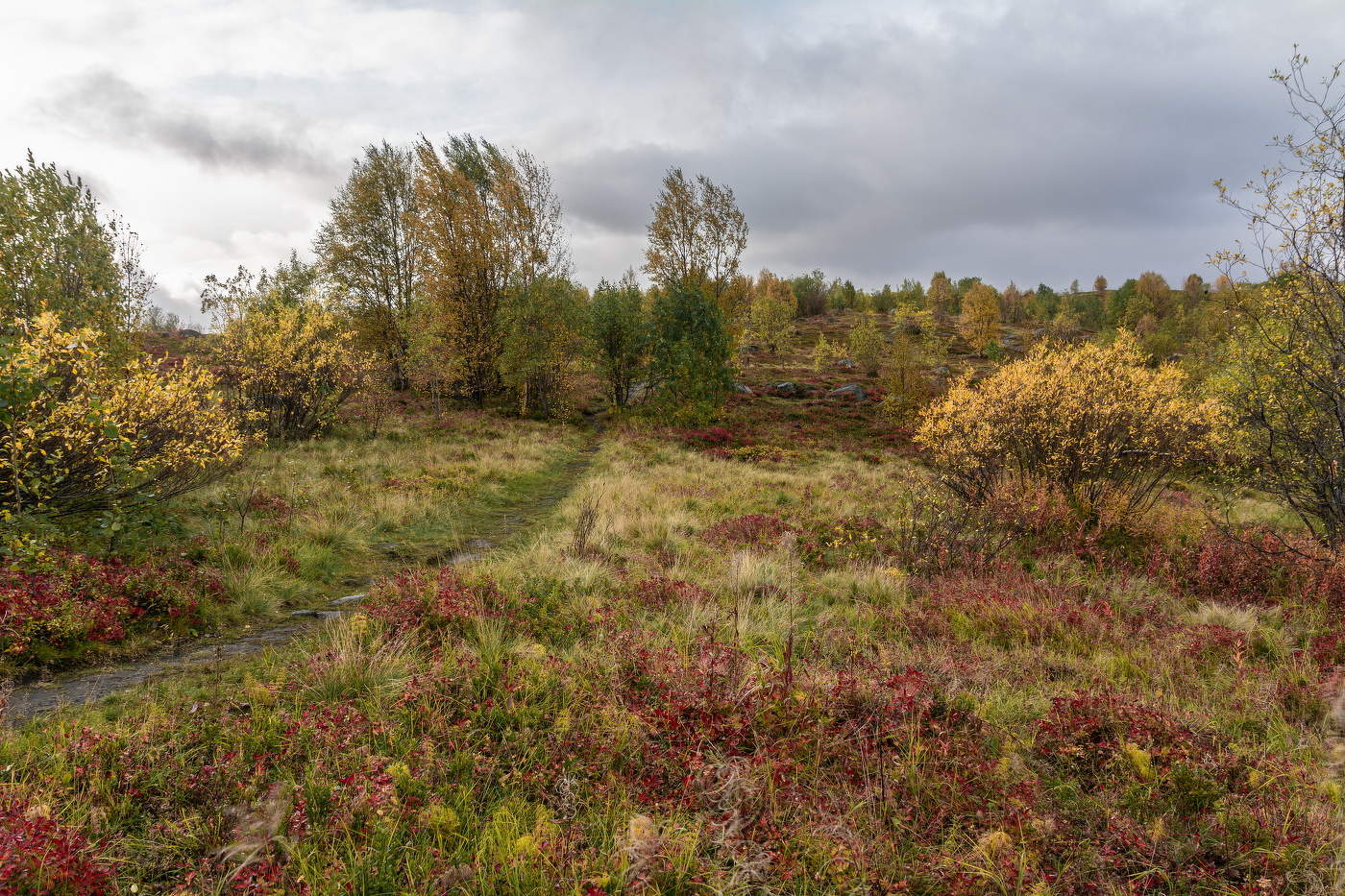 сентябрьские краски