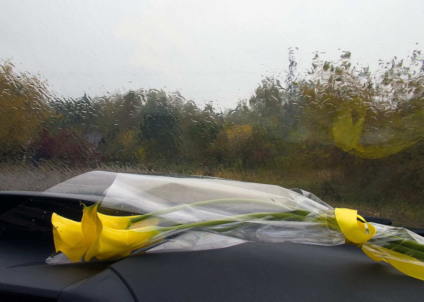 До свиданья, лето!